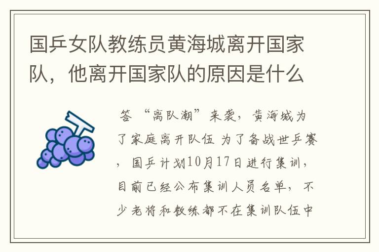 国乒女队教练员黄海城离开国家队,他离开国家队的原因是什么?