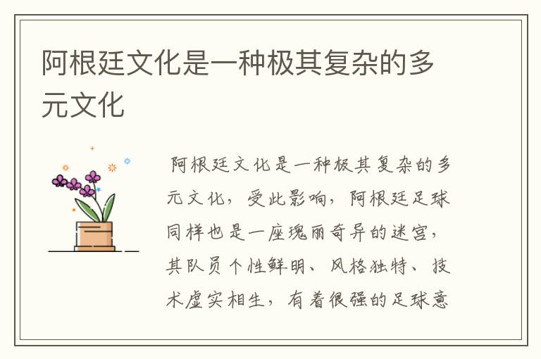 阿根廷文化是一种极其复杂的多元文化