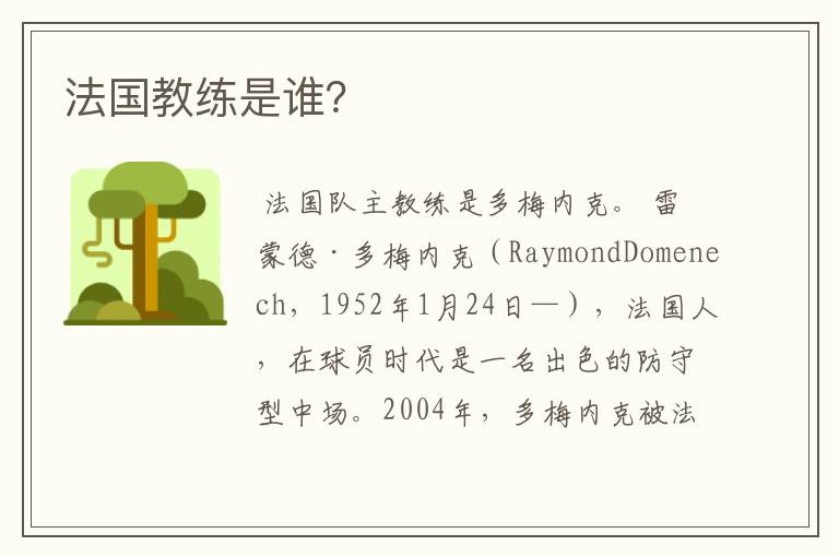 法国教练是谁?