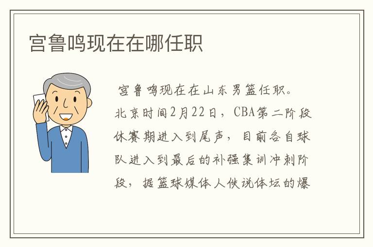 宫鲁鸣现在在哪任职