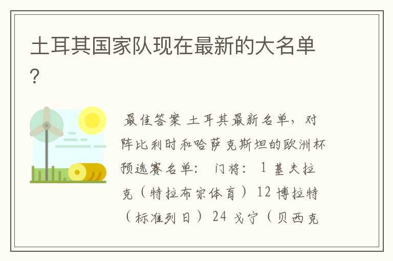 土耳其国家队现在最新的大名单?