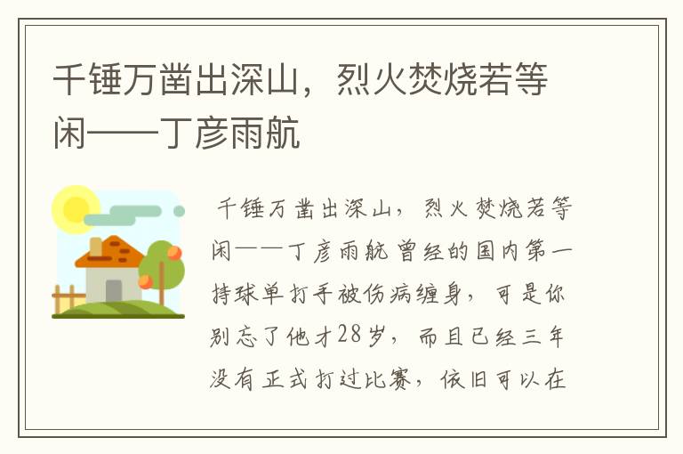 千锤万凿出深山,烈火焚烧若等闲——丁彦雨航
