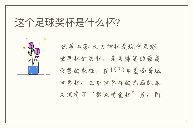 这个足球奖杯是什么杯?