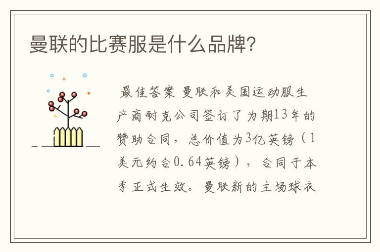 曼联的比赛服是什么品牌?