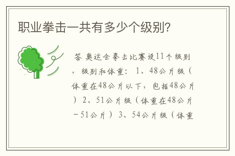 职业拳击一共有多少个级别?