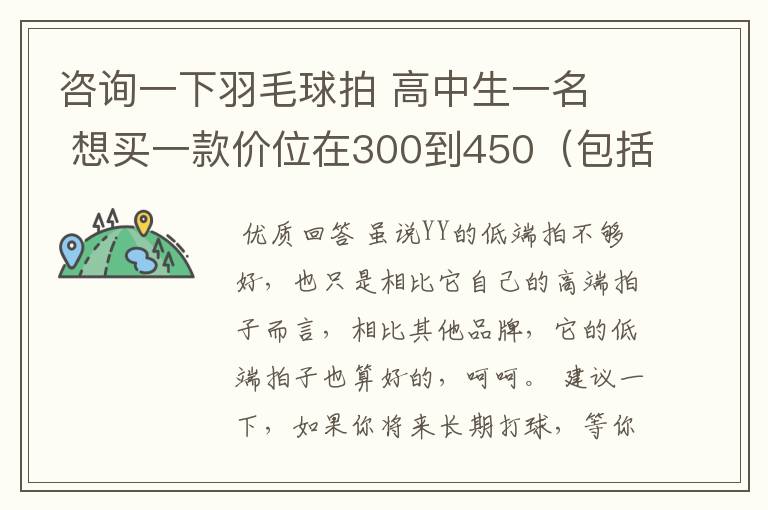 咨询一下羽毛球拍 高中生一名 想买一款价位在300到450(包括拍线和手胶.