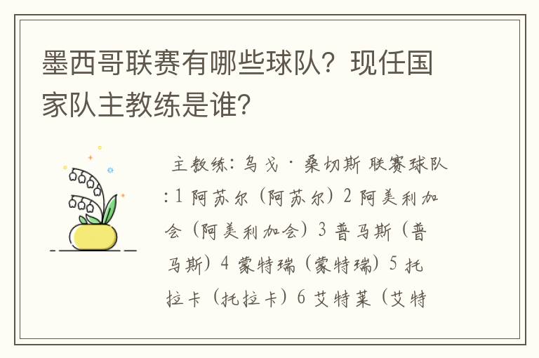 墨西哥联赛有哪些球队?现任国家队主教练是谁?