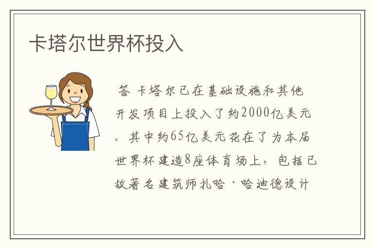 卡塔尔世界杯投入