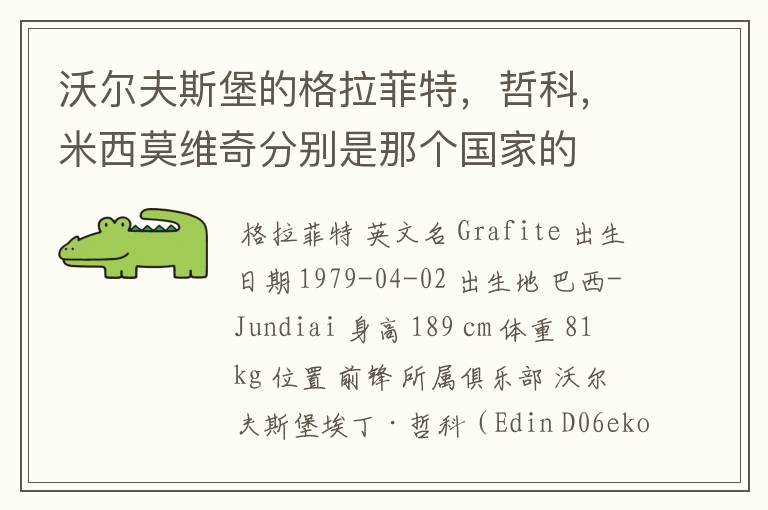 沃尔夫斯堡的格拉菲特,哲科,米西莫维奇分别是那个国家的