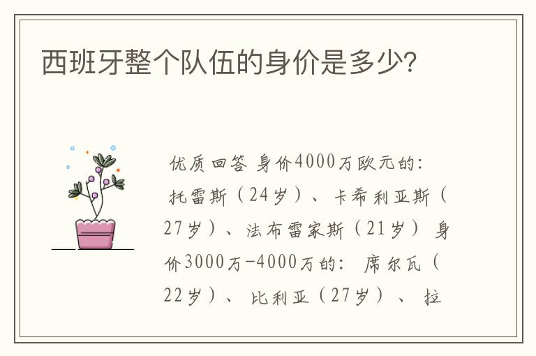 西班牙整个队伍的身价是多少?