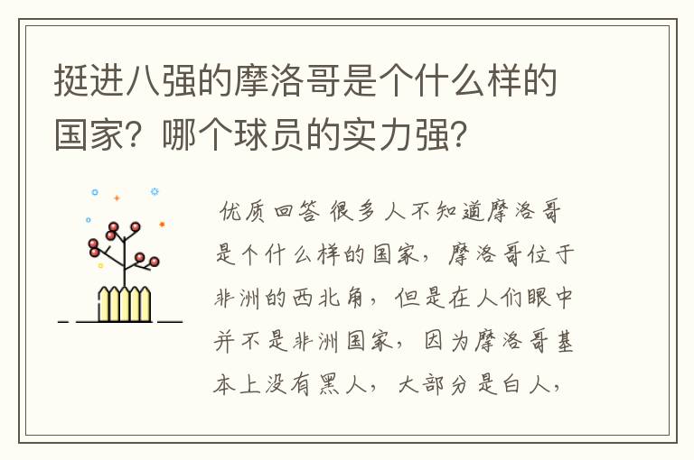 挺进八强的摩洛哥是个什么样的国家?哪个球员的实力强?