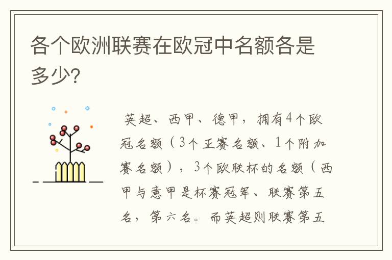 各个欧洲联赛在欧冠中名额各是多少?