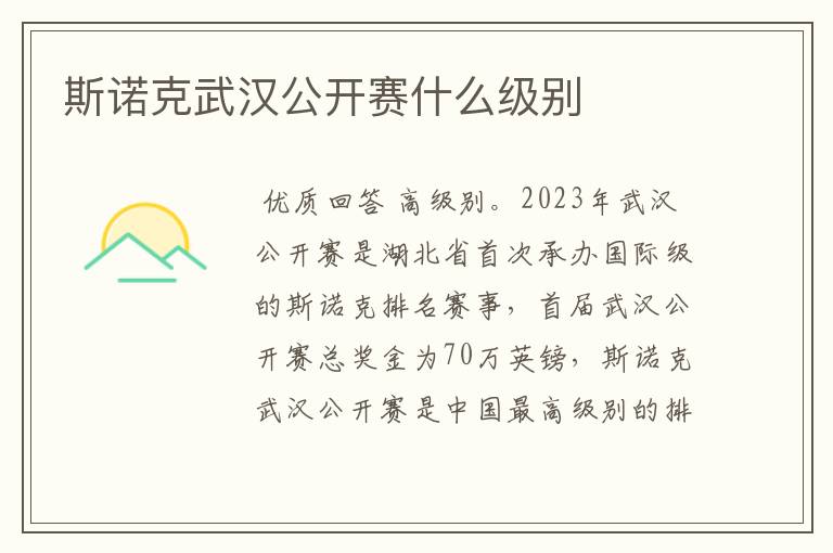斯诺克武汉公开赛什么级别