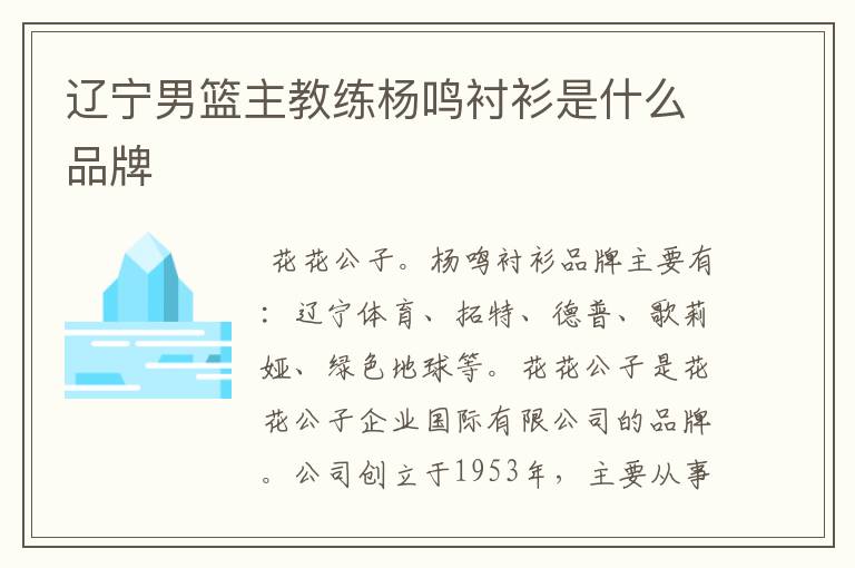 辽宁男篮主教练杨鸣衬衫是什么品牌
