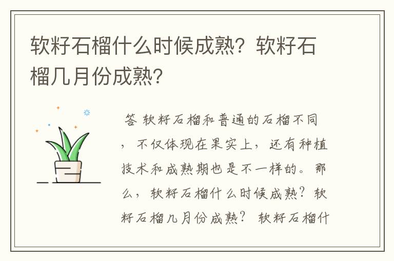 软籽石榴什么时候成熟?软籽石榴几月份成熟?