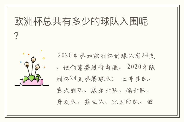 欧洲杯总共有多少的球队入围呢?
