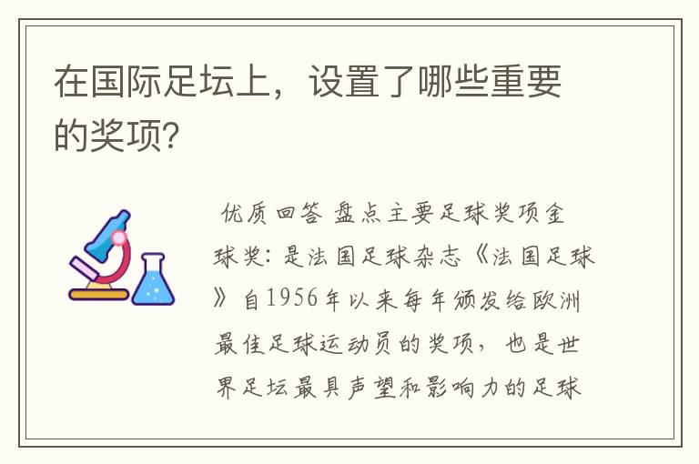 在国际足坛上,设置了哪些重要的奖项?