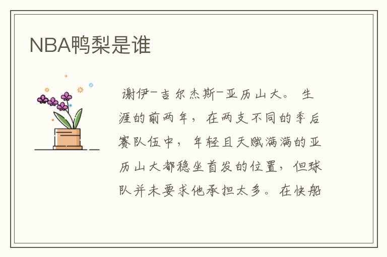 NBA鸭梨是谁