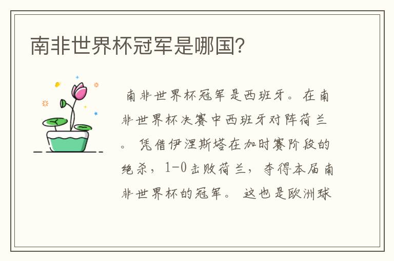 南非世界杯冠军是哪国?