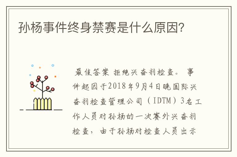 孙杨事件终身禁赛是什么原因?