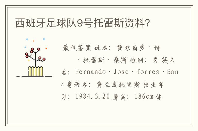 西班牙足球队9号托雷斯资料?