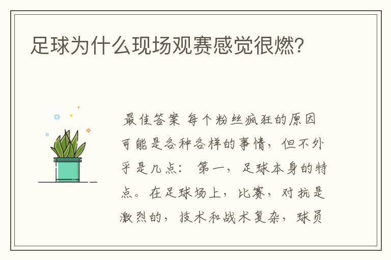 足球为什么现场观赛感觉很燃?