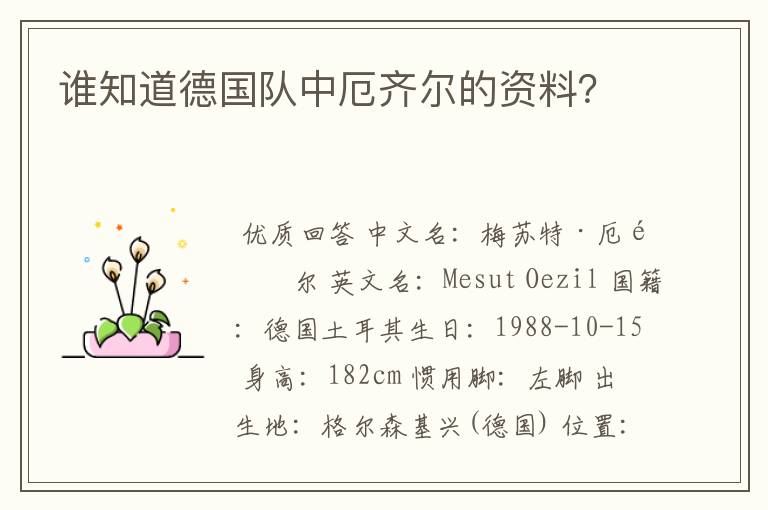 谁知道德国队中厄齐尔的资料?