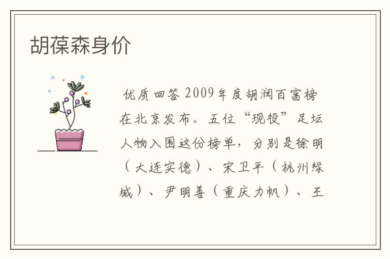 胡葆森身价