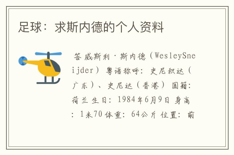 足球:求斯内德的个人资料