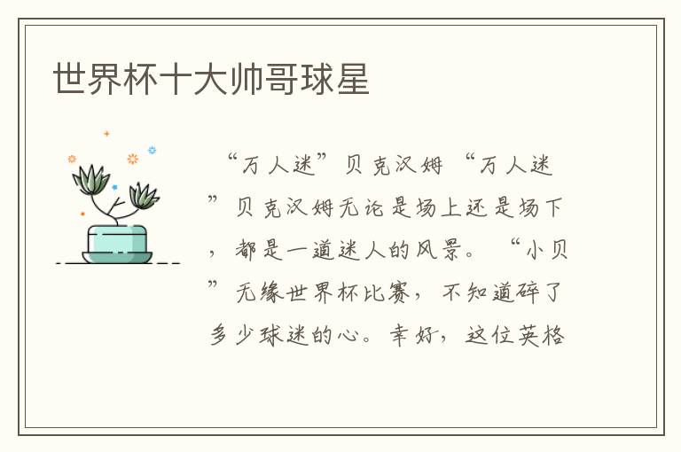 世界杯十大帅哥球星