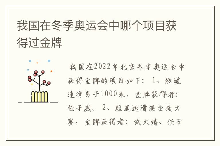 我国在冬季奥运会中哪个项目获得过金牌
