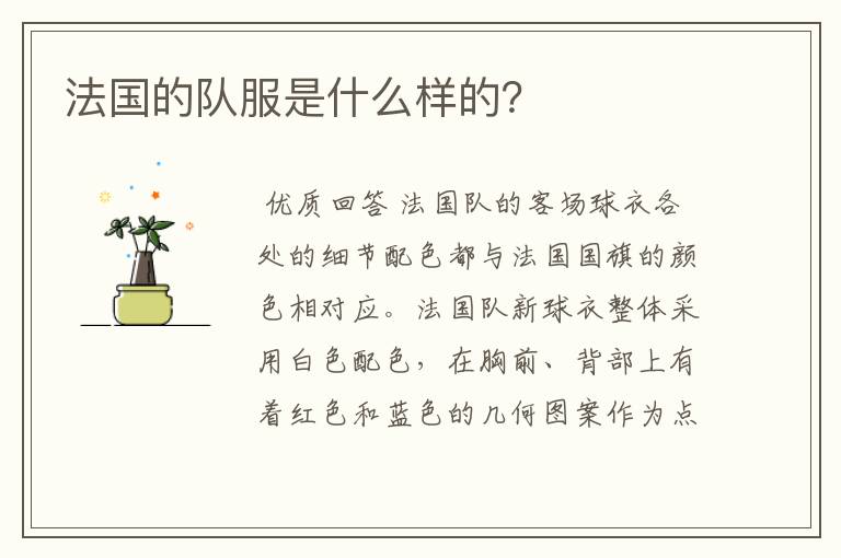 法国的队服是什么样的?