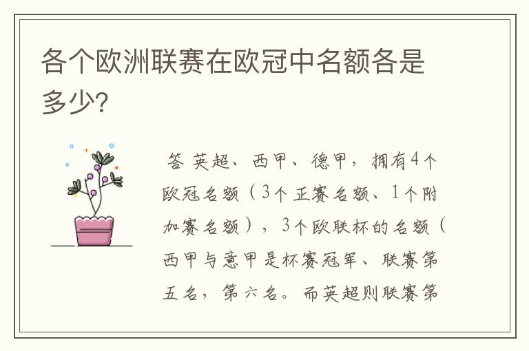 各个欧洲联赛在欧冠中名额各是多少?
