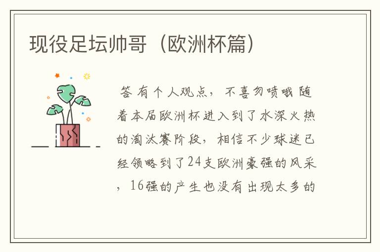 现役足坛帅哥(欧洲杯篇)