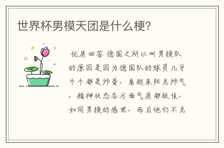 世界杯男模天团是什么梗?