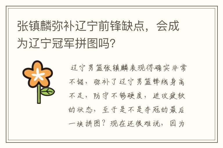 张镇麟弥补辽宁前锋缺点,会成为辽宁冠军拼图吗?
