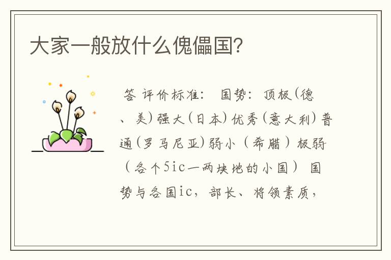 大家一般放什么傀儡国?