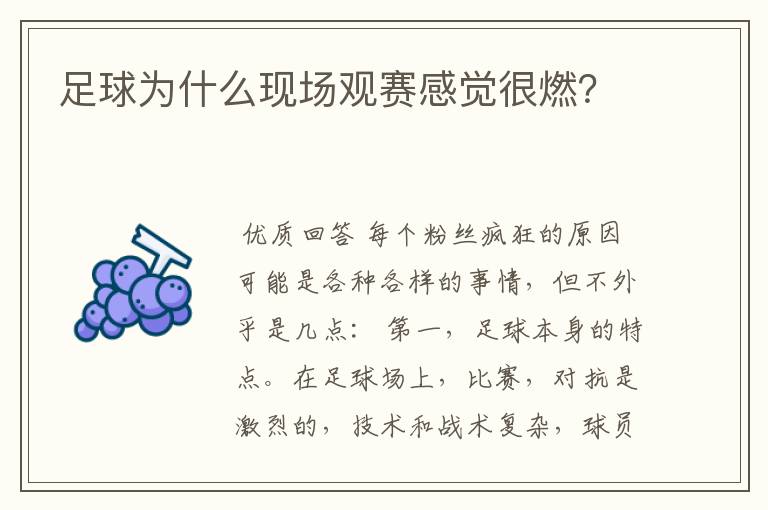 足球为什么现场观赛感觉很燃?