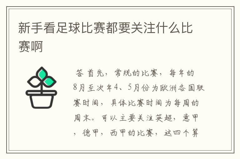 新手看足球比赛都要关注什么比赛啊