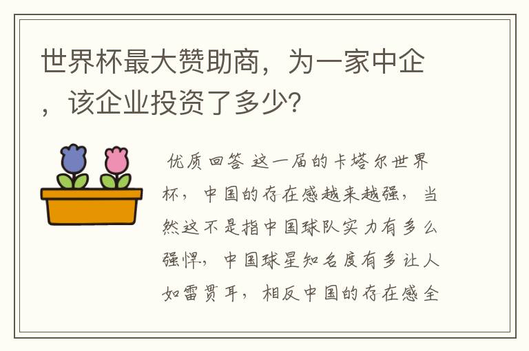世界杯最大赞助商,为一家中企,该企业投资了多少?