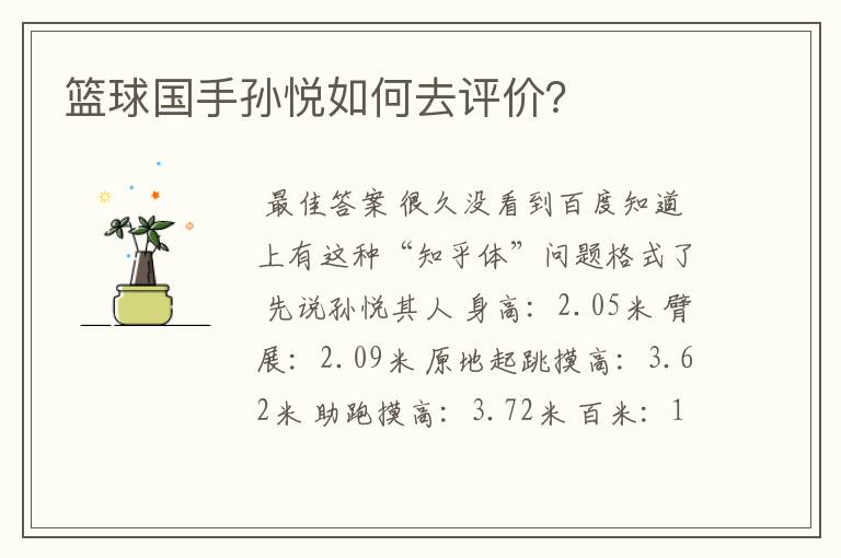 篮球国手孙悦如何去评价?