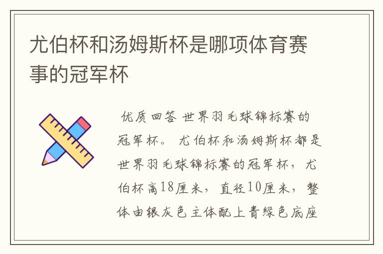 尤伯杯和汤姆斯杯是哪项体育赛事的冠军杯