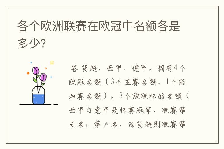 各个欧洲联赛在欧冠中名额各是多少?