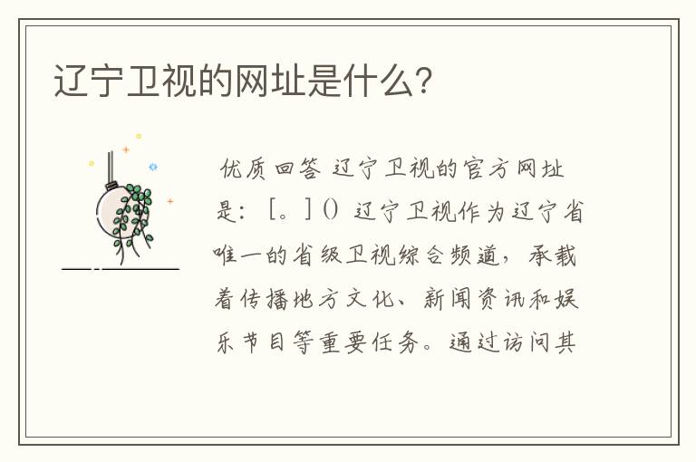 辽宁卫视的网址是什么?
