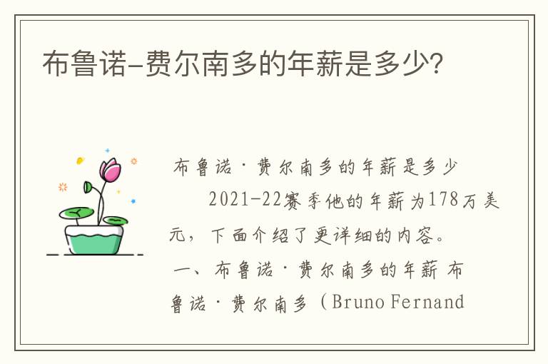 布鲁诺-费尔南多的年薪是多少?