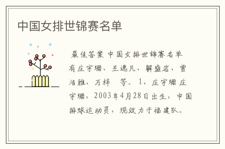 中国女排世锦赛名单