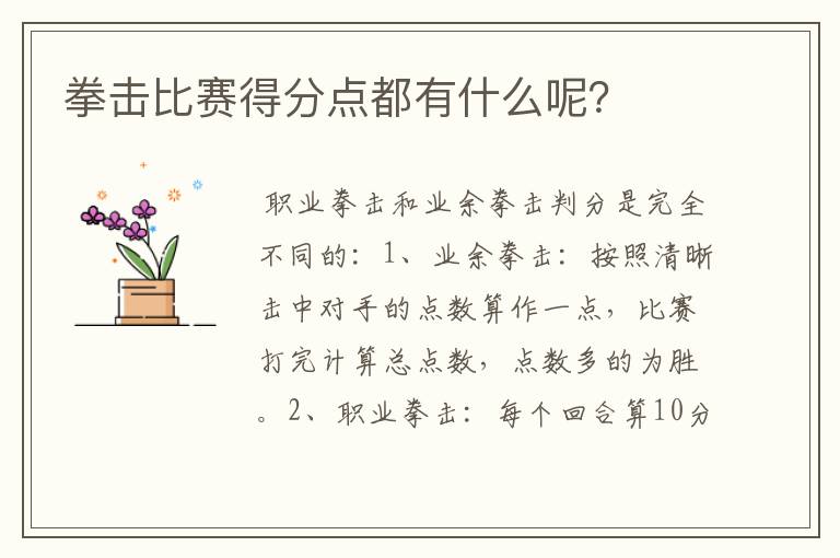 拳击比赛得分点都有什么呢?