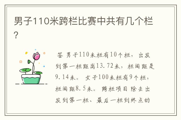 男子110米跨栏比赛中共有几个栏?