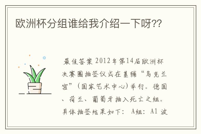 欧洲杯分组谁给我介绍一下呀??