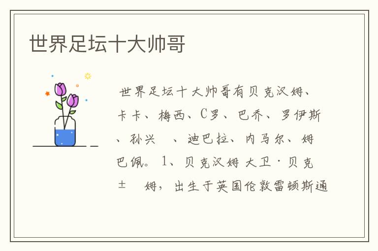 世界足坛十大帅哥